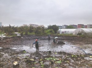丰都河道鱼塘清淤